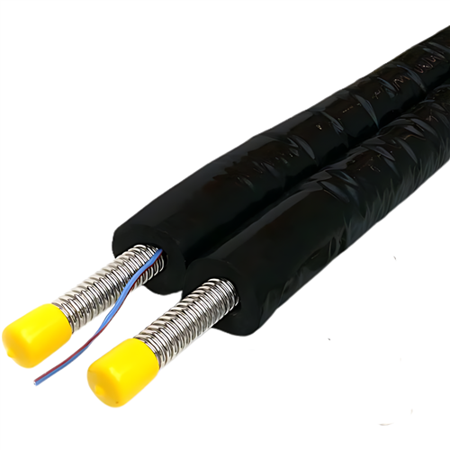 dyn 100582 rvs flex duo DN25 25mtr