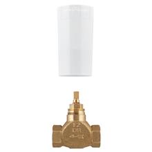 grohe 29800000 inbouw stopkraan excl. knop 1/2