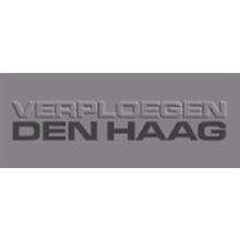 nefit 8718600169 vervangt 38234 gasregelblok