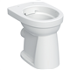 geberit 501982001 vlaksp. cl pot 300 rimfree PK+6