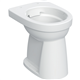 geberit 501983001 vlaksp. cl pot 300 rimfree AO+6