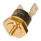daalderop 787654981 therm. beveilig.105/20